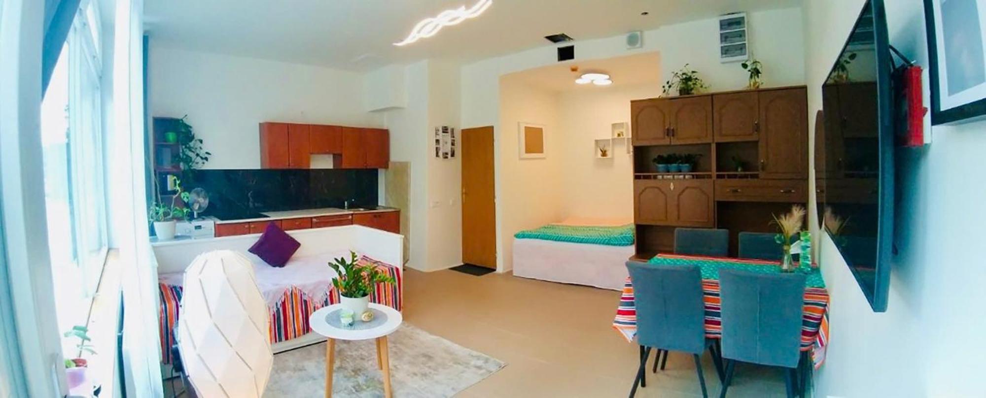 2 L Ground Floor Free Parking 布拉格
